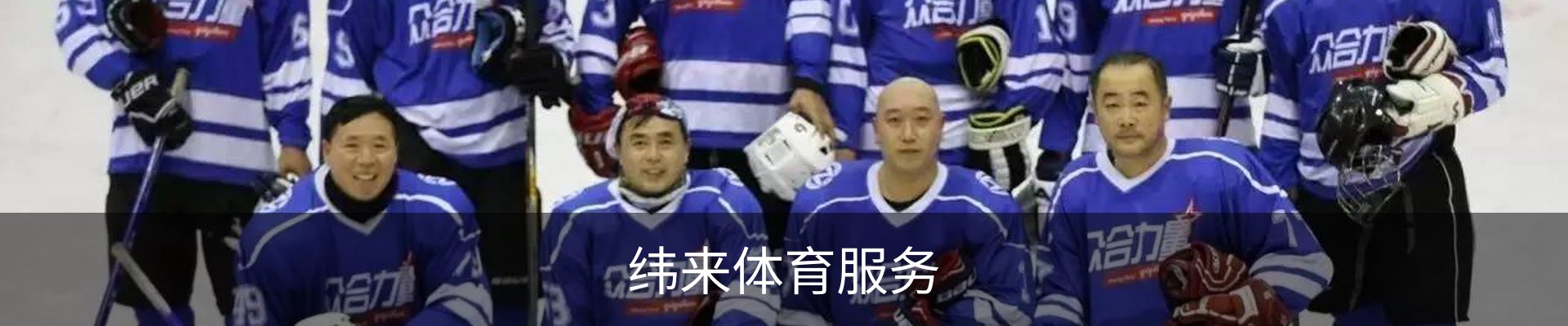 纬来体育服务